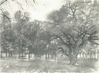 A VÁROSLIGETBŐL<BR> NOVÁK SÁNDOR RAJZA