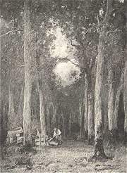 ERDŐ BELSEJE<BR>PAÁL LÁSZLÓ OI.AJFESTÉNYE