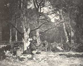 ERDŐRÉSZLET<BR>PAÁL LÁSZLÓ OLAJFESTMÉNYE