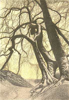 T�LI SZ�RK�LET<BR>OLGYAI VIKTOR K�RAJZA