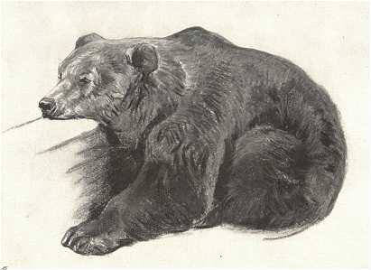 BARNA MEDVE<BR>BÜTTNER HELÉN PASZTELLRAJZA