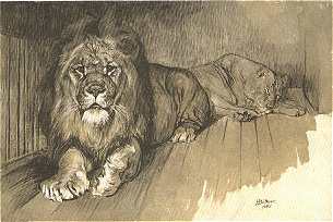 OROSZLÁN<BR>BÜTTNER HELÉN RAJZA