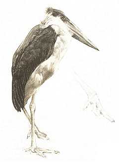 BÜTTNER HELÉN VÁZLATKÖNYVÉBŐL