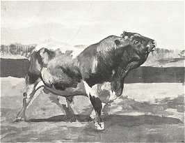 BIKA<BR>BÜTTNER HELÉN FESTMÉNYE