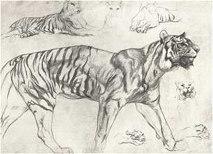 TIGRIS-TANULMÁNYOK<BR>BÜTTNER HELÉN VÁZLATKÖNYVÉBŐL