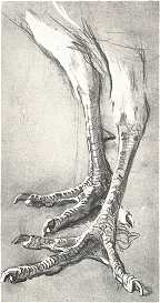 BÜTTNER HELÉN VÁZLATKÖNYVÉBŐL