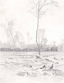 TANULM�NY MAJOR JEN� RAJZA