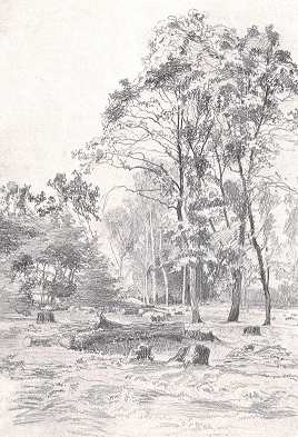 TANULM�NY MAJOR JEN� RAJZA