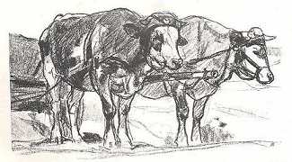 ZOMBORY LAJOS V�ZLATK�NYV�B�L