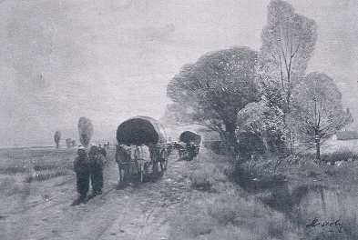 HAZAT�R�K M�SZ�LY G�ZA OLAJFESTM�NYE DK. HAMPEL J�ZSEFN� GY�JTEM�NY�B�L