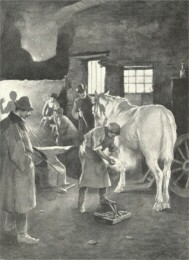 KOVÁCSMUHELY GORÓ LAJOS RAJZA