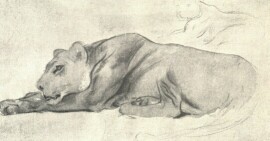 OROSZL�N-TANULM�NY B�TTNER HEL�N RAJZA