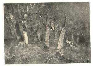 T�JK�P PA�L L�SZL� OLAJFESTM�NYE