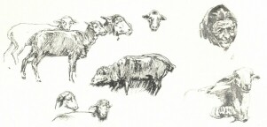 MAGYAR-MANNHEIMER GUSZTÁV VÁZLATKÖNYVÉBŐL