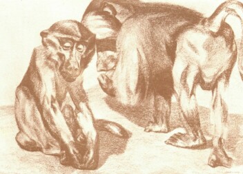 P�VI�NP�R SIMAY IMRE KR�TARAJZA