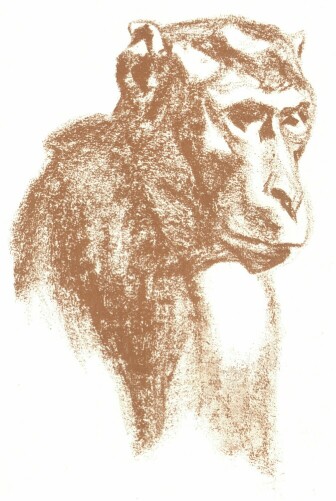 TANULM�NY SIMAY IMRE KR�TARAJZA