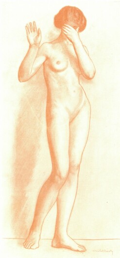 TANULMÁNY KERNSTOK-KÁROLY RAJZA