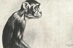 A BETEG SIMAY IMRE KR�TARAJZA