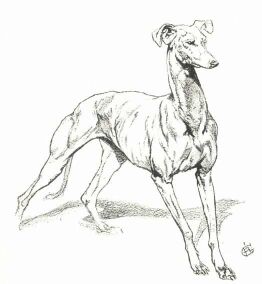 GARAY �KOS V�ZLATK�NYV�B�L