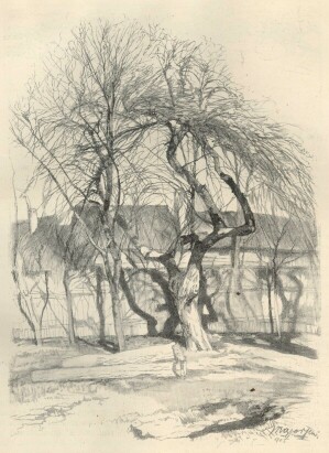 TANULMÁNY MAJOR JENŐ RAJZA