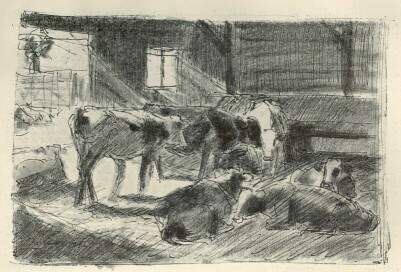 AZ AKOLBAN ZOMBORY LAJOS RAJZA