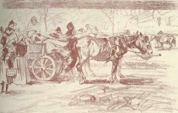 VÁSÁROS SZEKÉR PÁLLYA CELESZTIN RAJZA