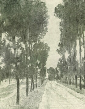 FASOR FÉNYES ADOLF RAJZA