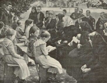 VIZSGA POLL HUG� PASZTELLJE