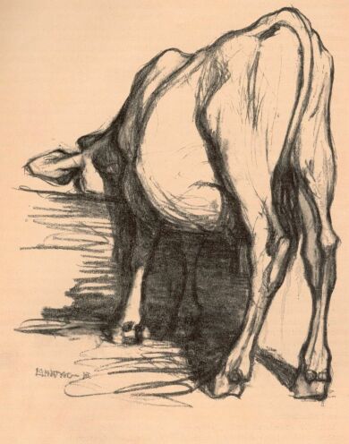 TANULMÁNY LOHWAG ERNESZTIN RAJZA