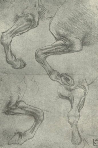 LÓLÁB-TANULMÁNYOK LEONARDO DA VINCI RAJZA SZÉPMŰVÉSZETI MÚZEUM