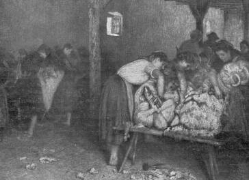 KOSNYIR�S PACZKA FERENC R�ZKARCA