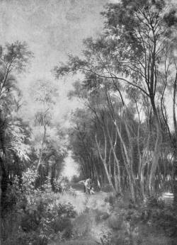 A SZEGEDI BOSZORK�NYSZIGET R�KOSI N�NDOR FESTM�NYE