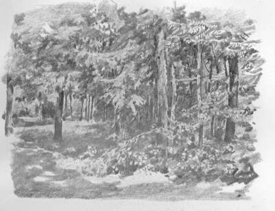 ERD� JUH�SZ �RP�D RAJZA