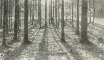 ERD� SZ�NYEG�N OLGYAI VIKTOR FESTM�NYE