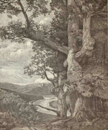 A T�LGY OLGYAI VIKTOR R�ZKARCA