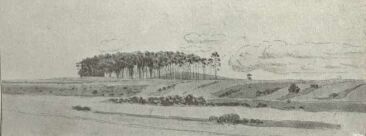 OLGYAI VIKTOR V�ZLATK�NYV�B�L