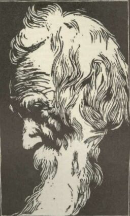 TANULM�NY J�ZSA K�ROLY FAMETSZETE