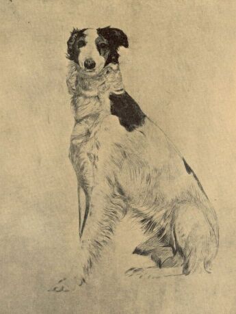 IVÁN OLGYAI VIKTOR RÉZKARCA A GRAFIKAI EGYESÜLET MŰLAPJA