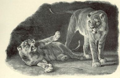 OROSZL�NOK L�SCHINGER HUG� RAJZA