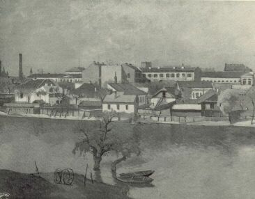 A ZAGYVA PARTJA MIHALIK DÁNIEL OLAJFESTMÉNYE