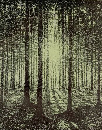 NAPNYUGTA OLGYAI VIKTOR RAJZA