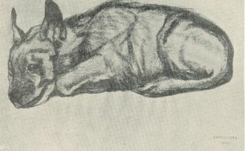 HI�NA SIMAY IMRE RAJZA