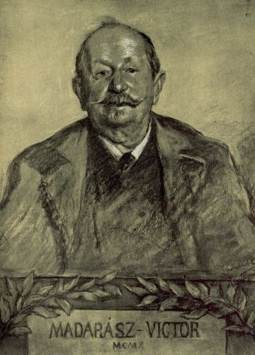 JUBIL�NS MADAR�SZ VIKTOR BORUTH ANDOR RAJZA