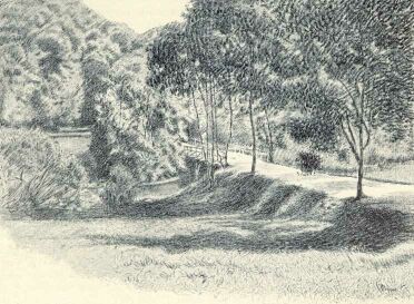 NYÁRI NAP OLGYAI VIKTOR RAJZA