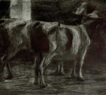 IST�LL�BAN AUGUSTIN MARISKA R�ZKARCA