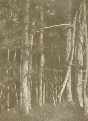 ERDŐ MÉLYE RÓNAY KÁZMÉR RÉZKARCA