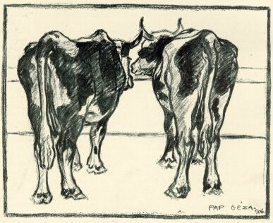 TEHENEK PAP G�ZA RAJZA