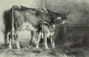 TEHÉN BORJÁVAL EDVI ILLÉS ALADÁR VÍZFESTMÉNYE A GRÓF ESZTERHÁZY-FÉLE DÍJ NYERTESE