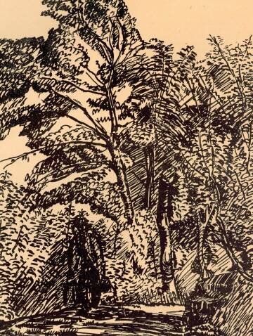 TANULM�NY BAT� J�ZSEF RAJZA