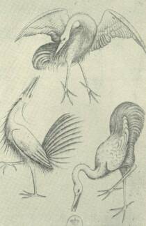 A JÁTÉKKÁRTYÁK MESTERE MADÁRHÁRMAS (L. 61)